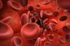 Grafik Blutzellen